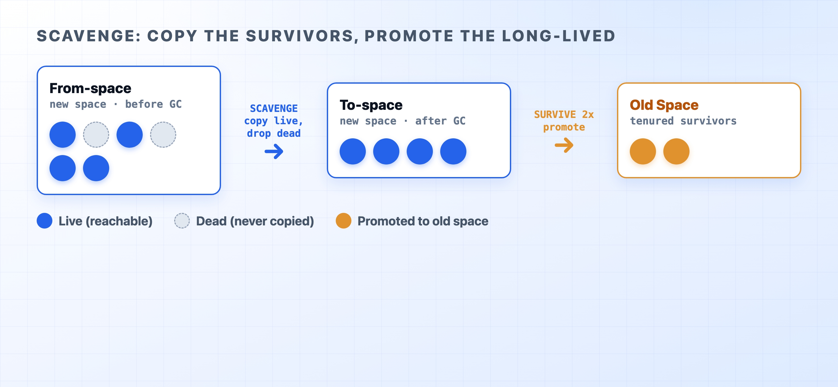 How Scavenge copies survivors and promotes them