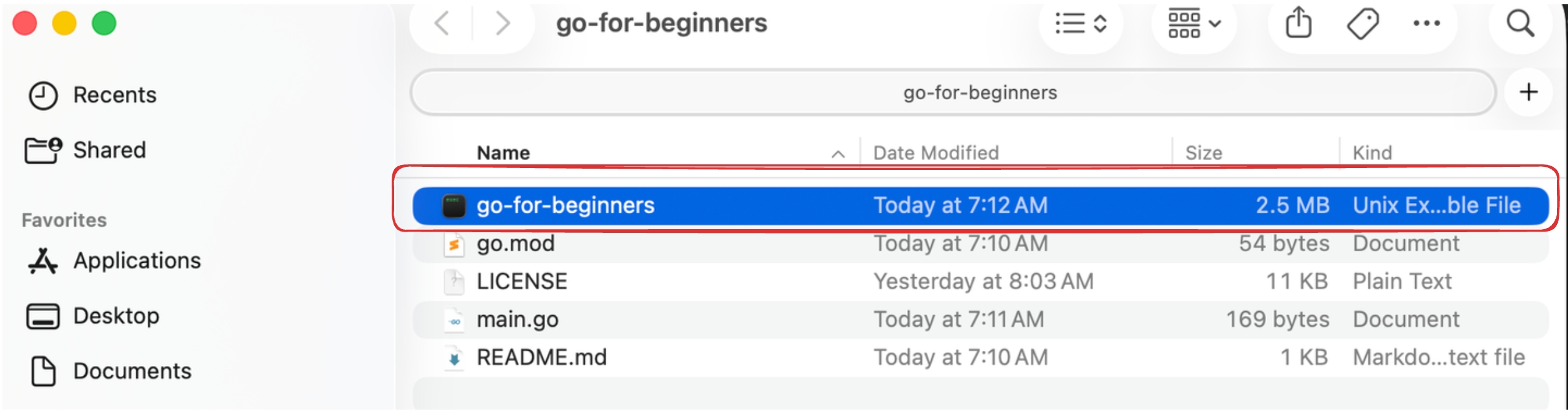 Finder showing the go-for-beginners executable built by go build