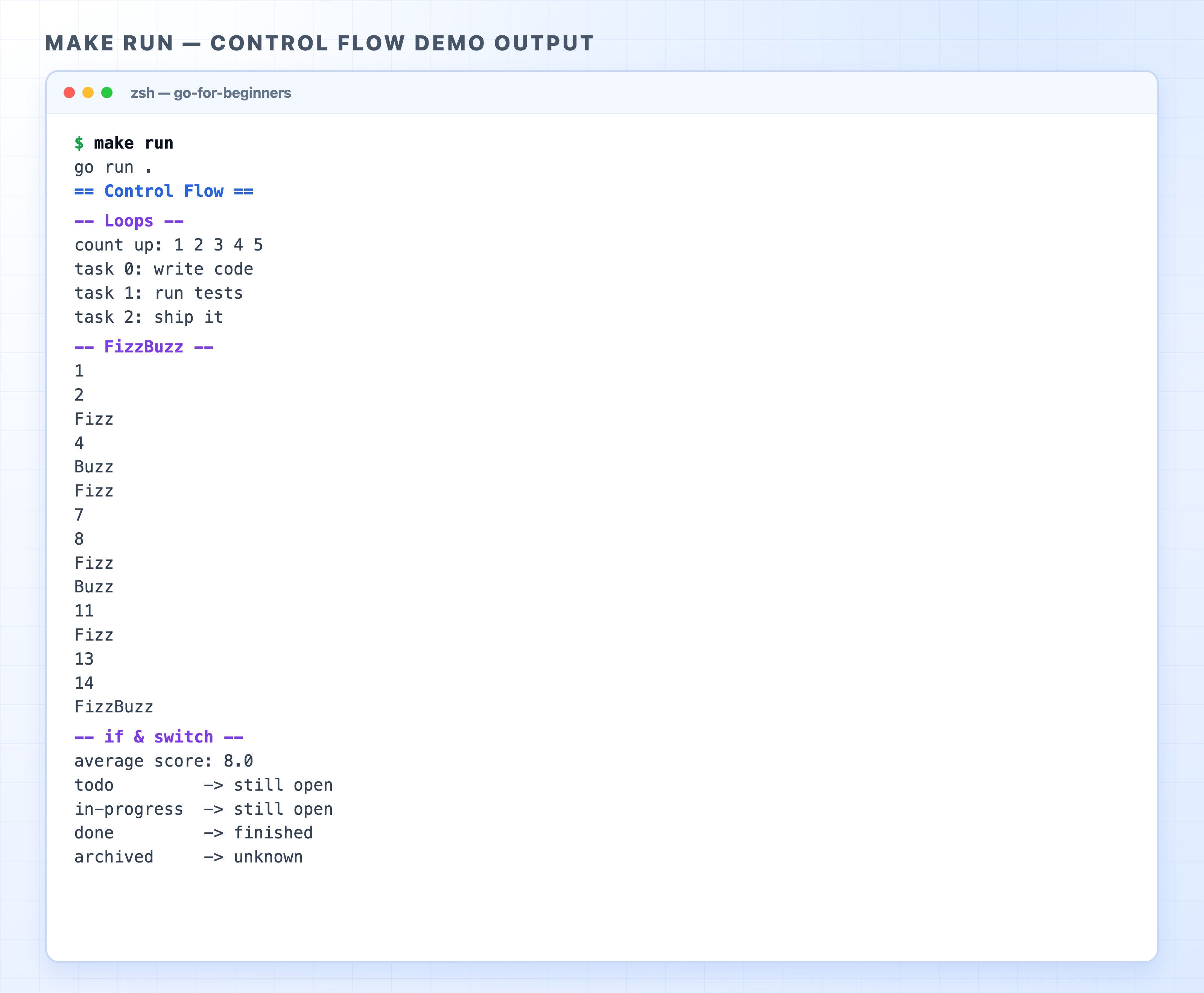 make run output for the control flow demos