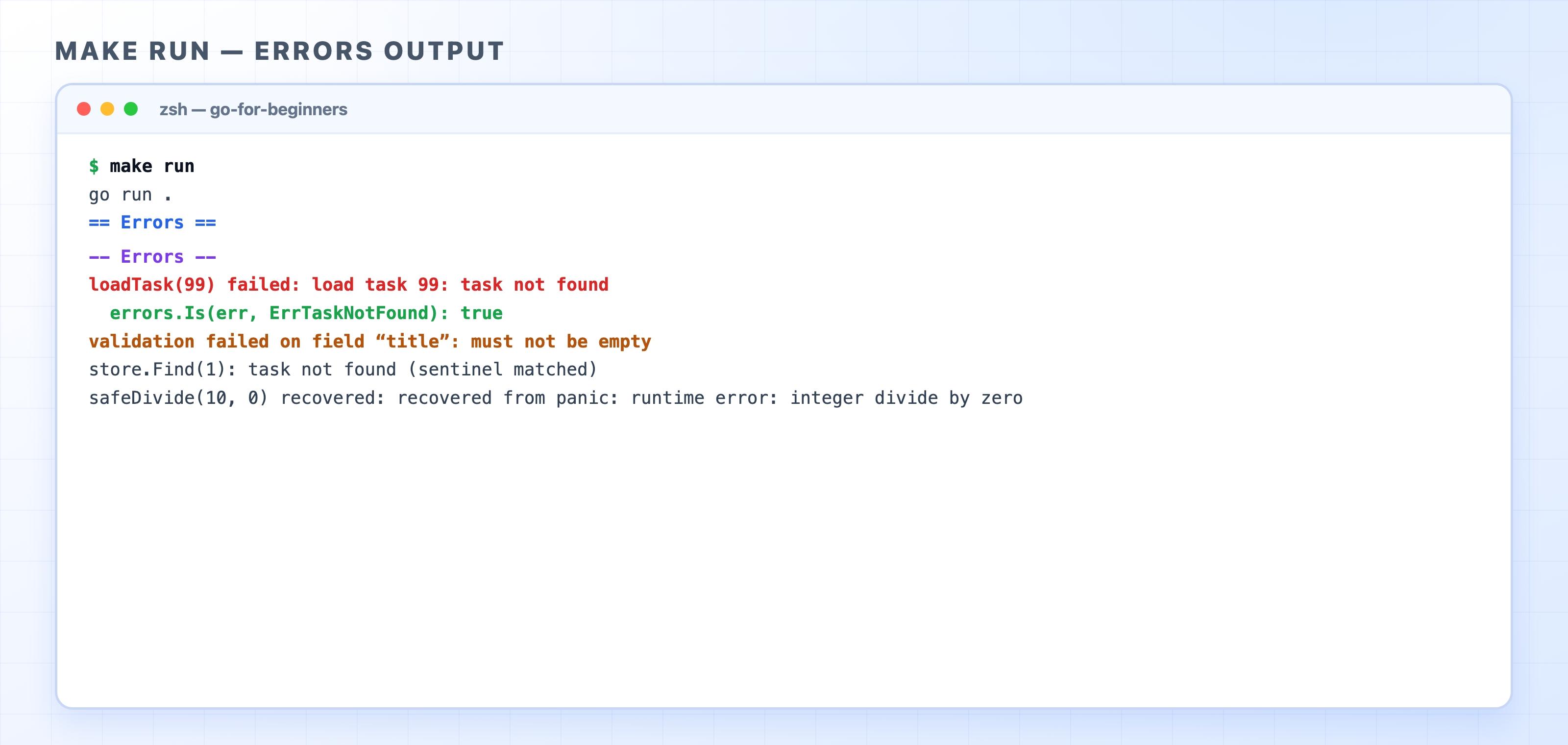 make run output showing the errors demo section
