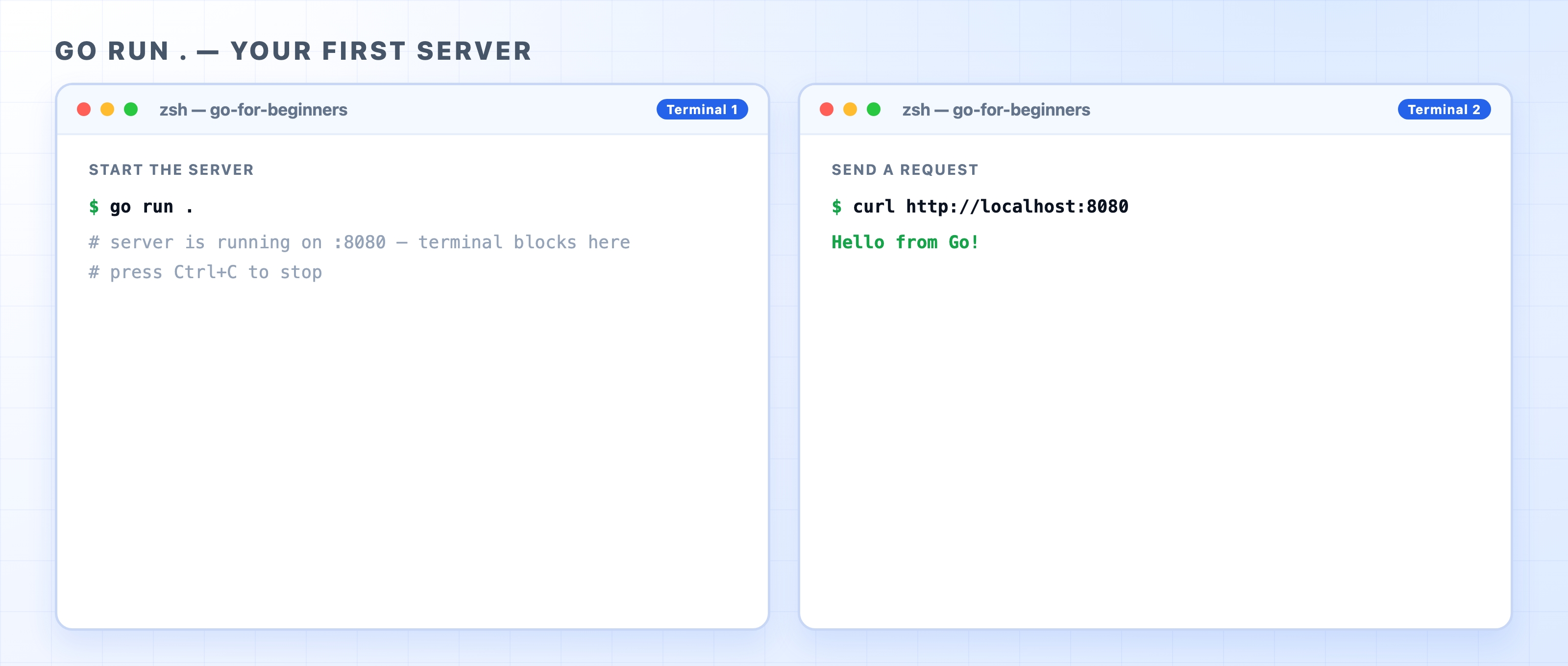 Two-terminal demo of go run and curl returning Hello from Go