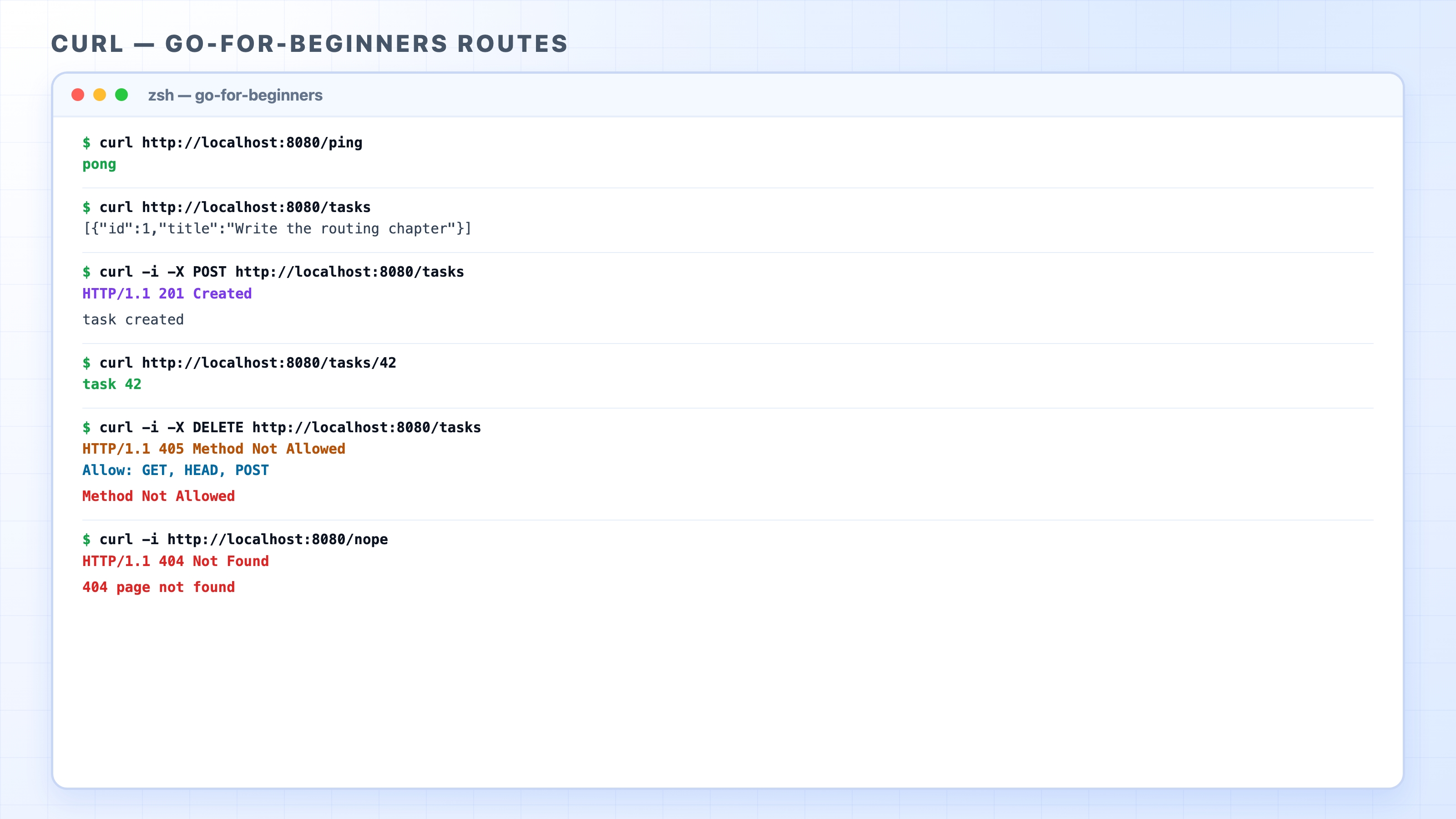Six routes showing 200 201 405 and 404 responses