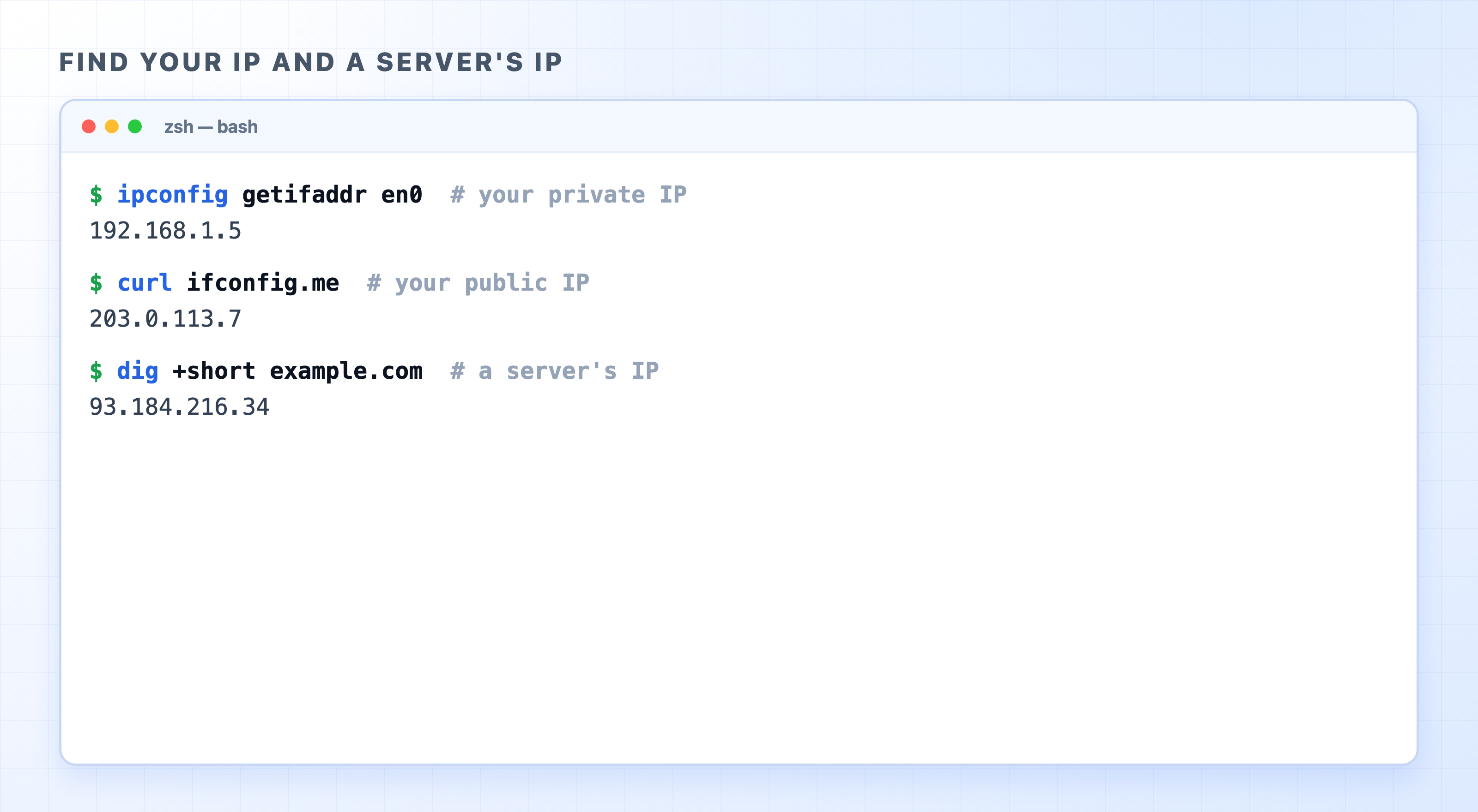 Commands to find your IP and a server's IP