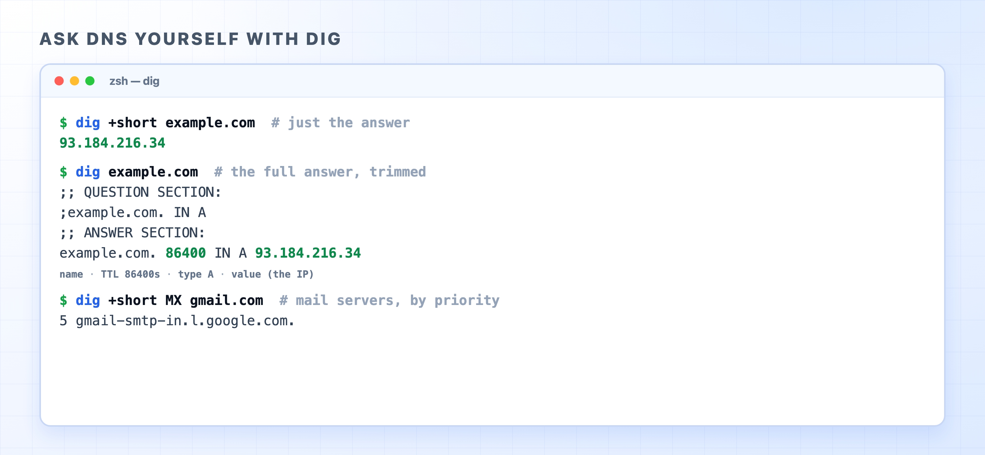 Reading DNS answers with the dig command