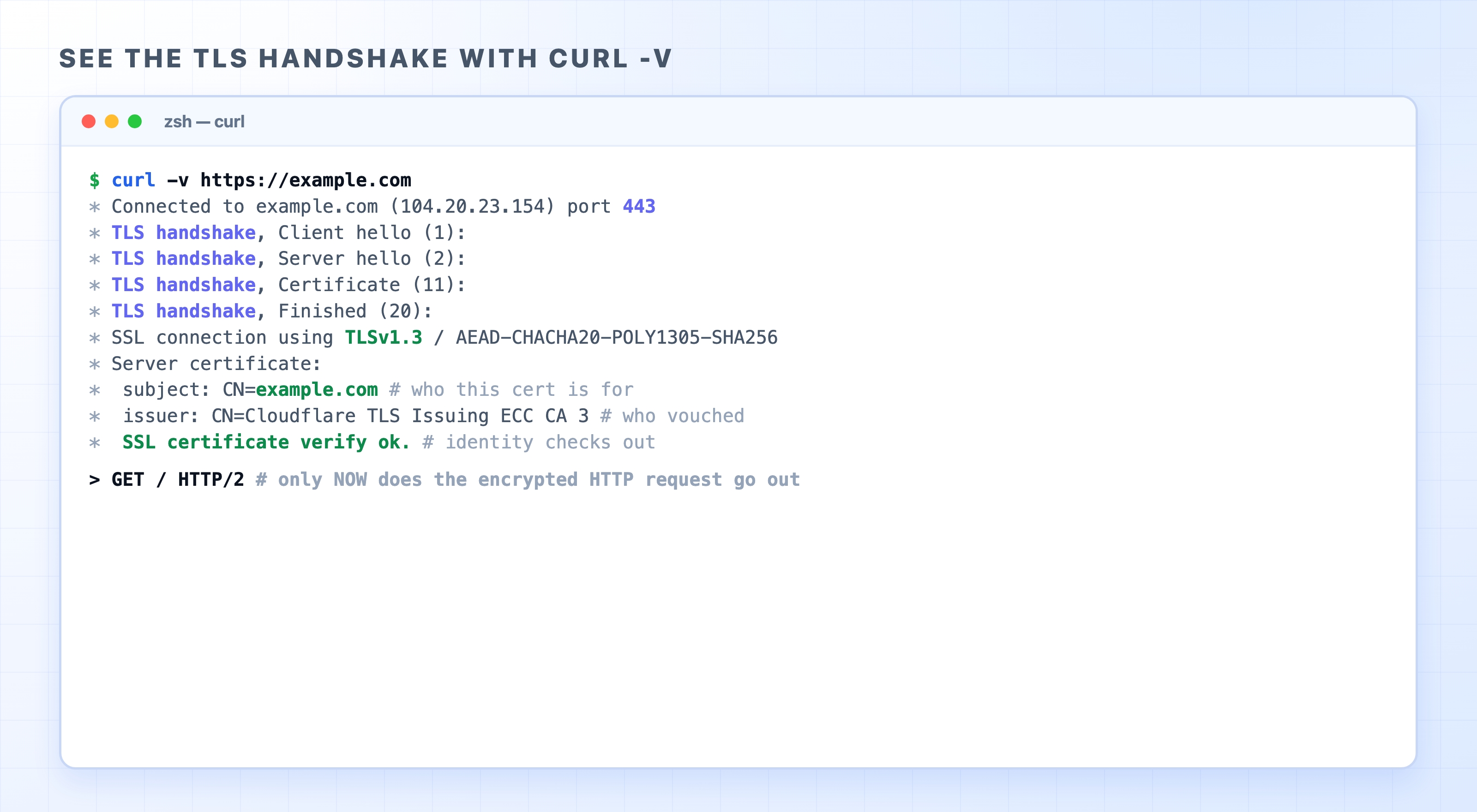 Seeing the TLS handshake with curl verbose output