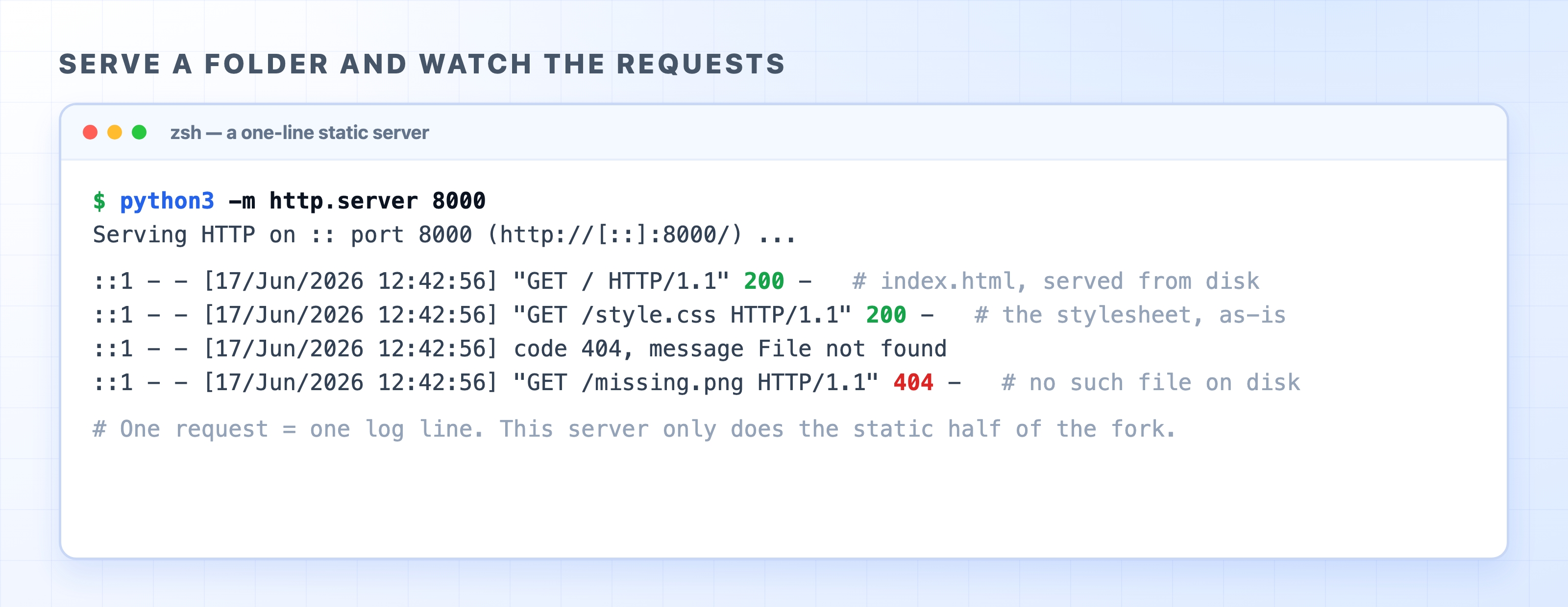 A one-line static server logging real requests in the terminal