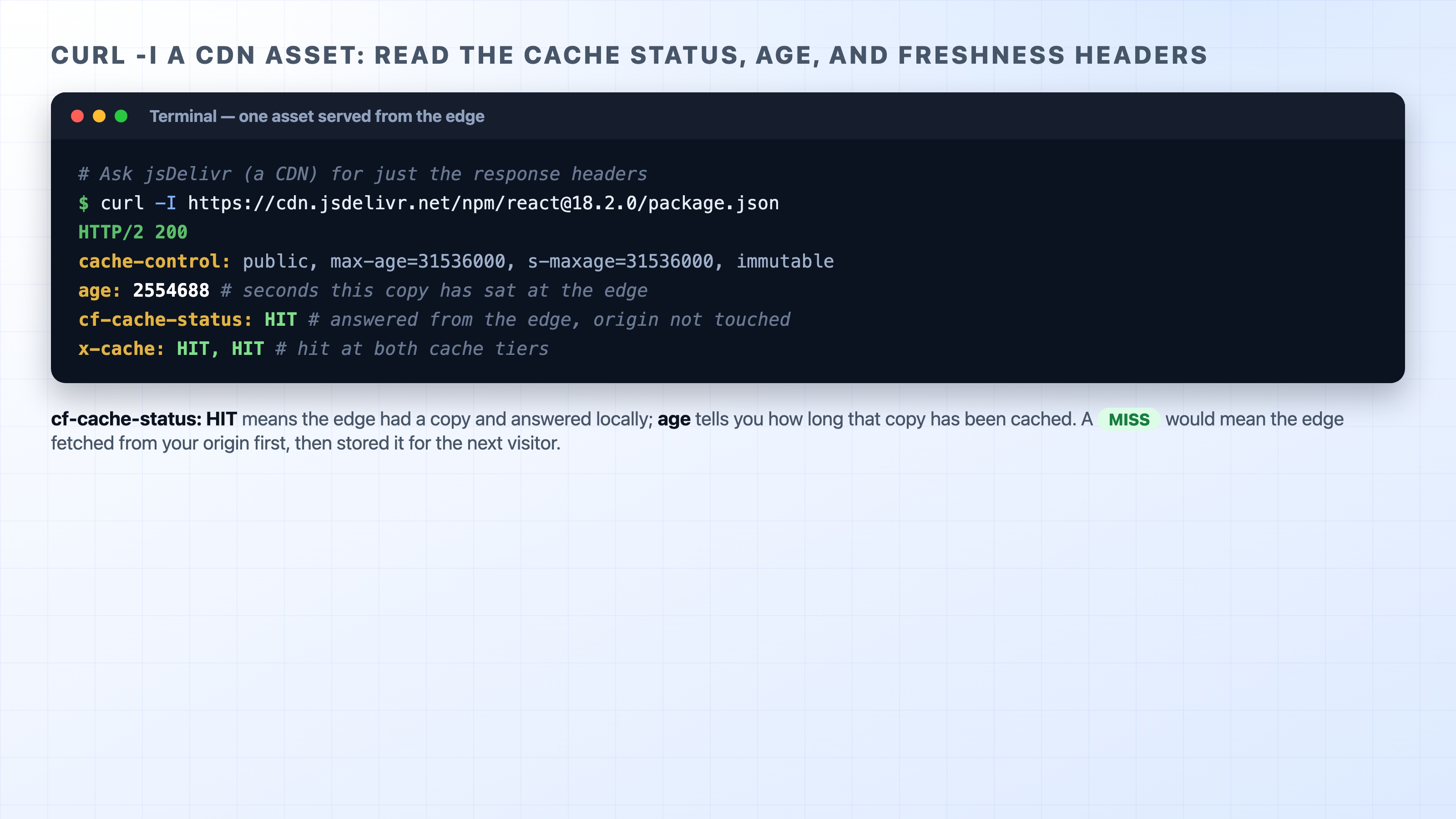 curl -I a CDN asset showing cf-cache-status HIT and the age header