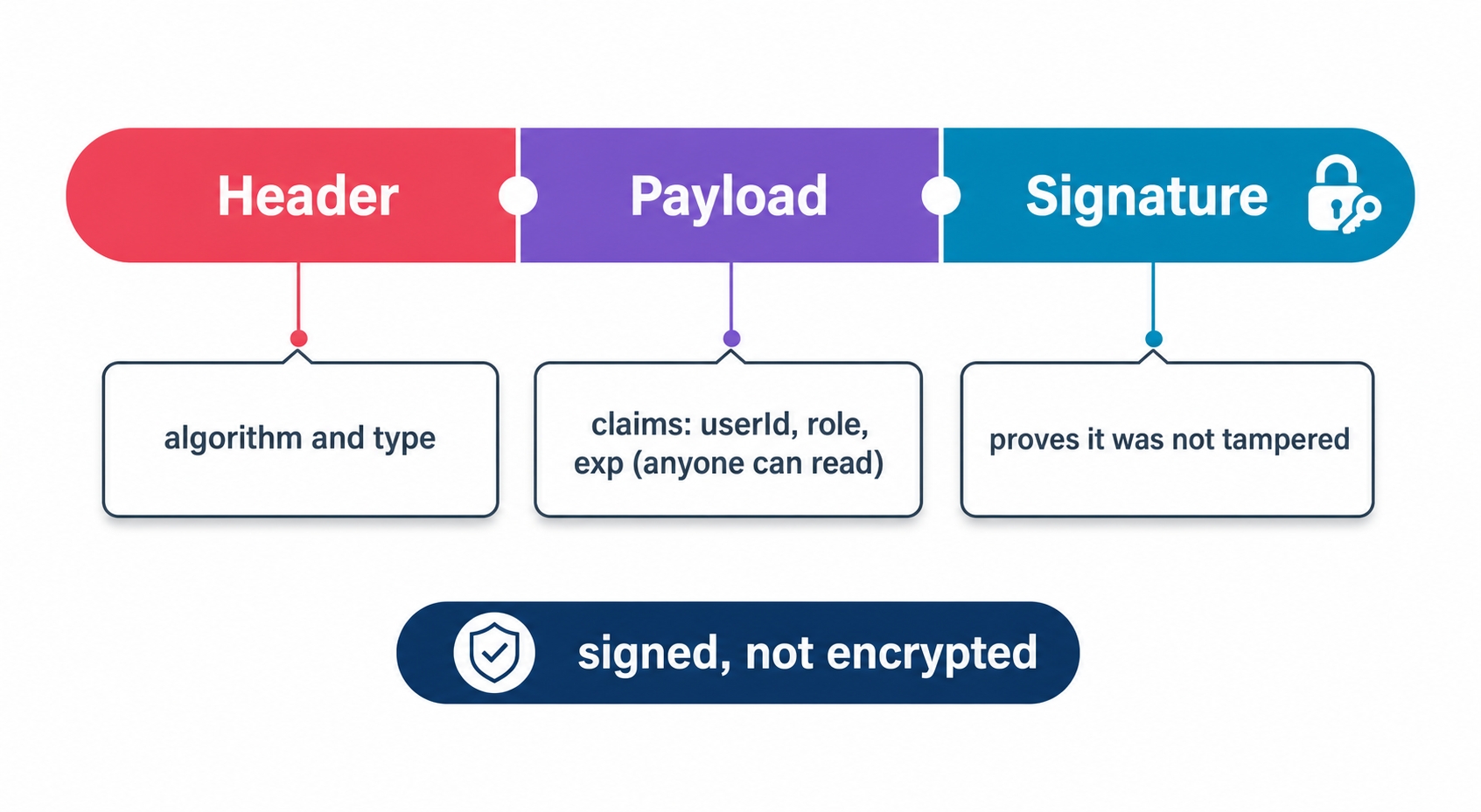 A JWT split into header payload and signature signed not encrypted