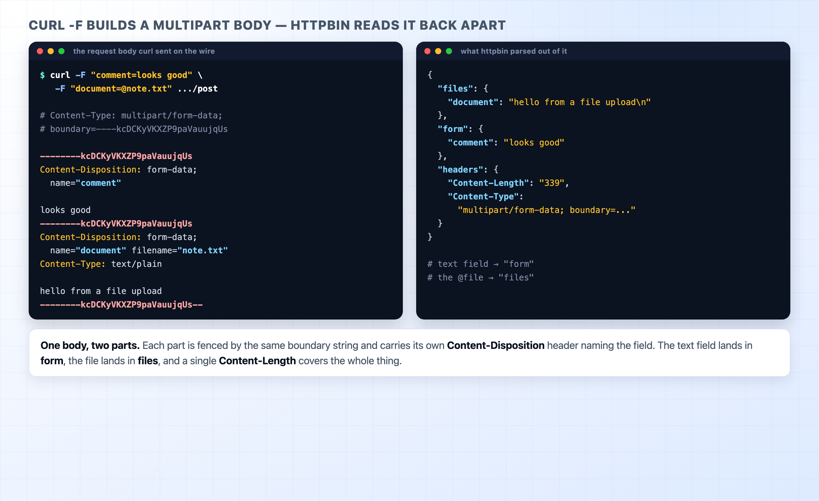 curl -F builds a multipart body that httpbin reads back apart
