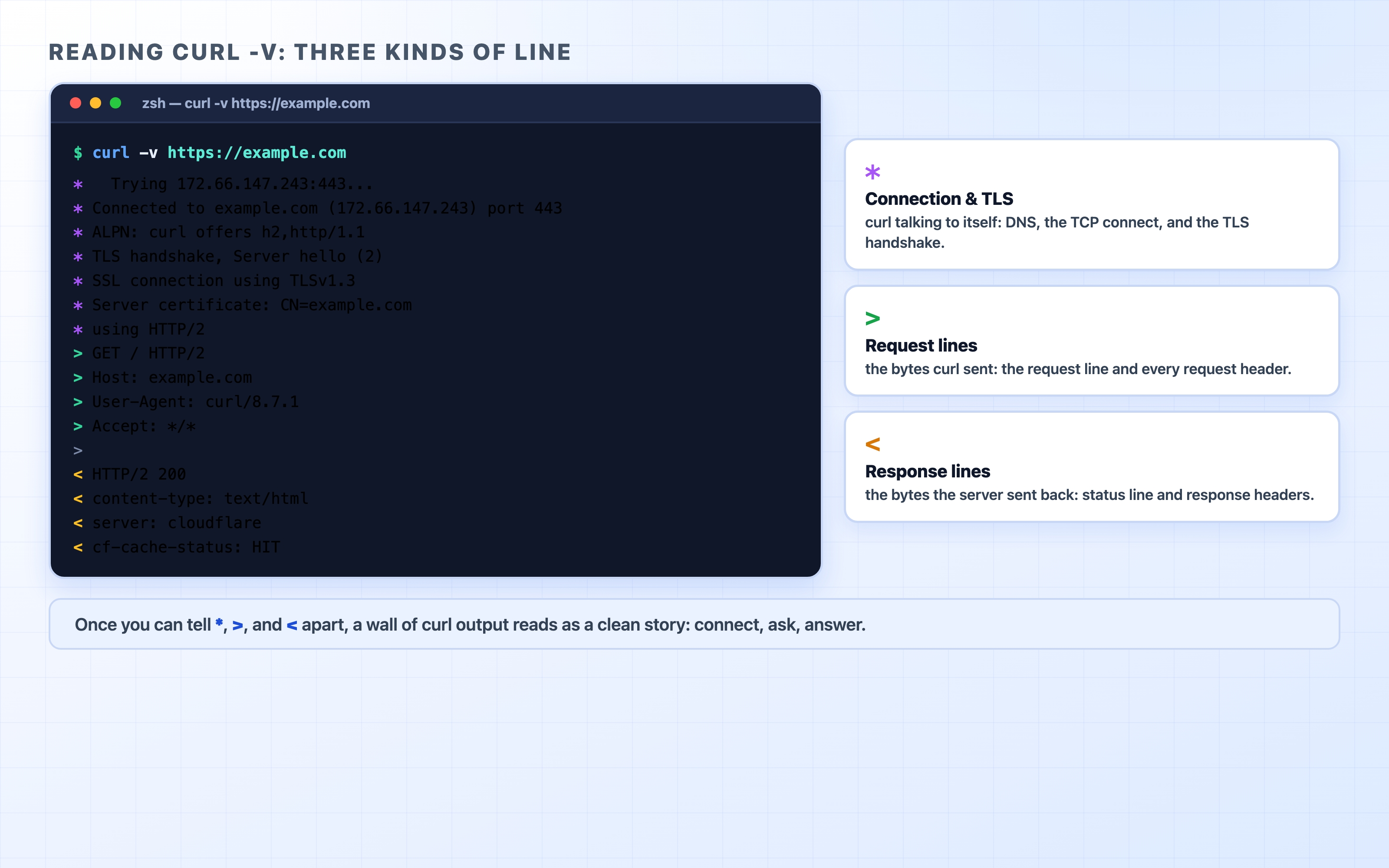 Reading the three kinds of line in curl -v output