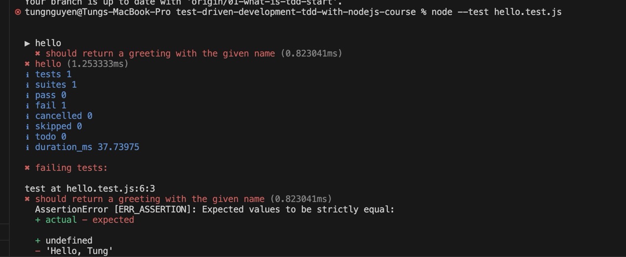 Node.js failing test output - Red phase of TDD